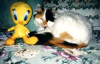 Tweety