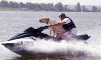 Dog on Jetski