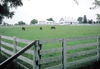 Nokesville - Peaceful and Green