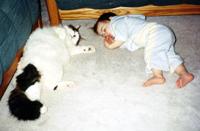 Catnap on the Carpet