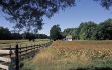 Chippokes Plantation State Park