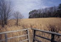 Westmoreland State Park