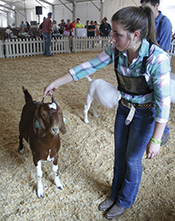 FFA and 4-H Youth